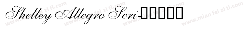 Shelley Allegro Scri字体转换